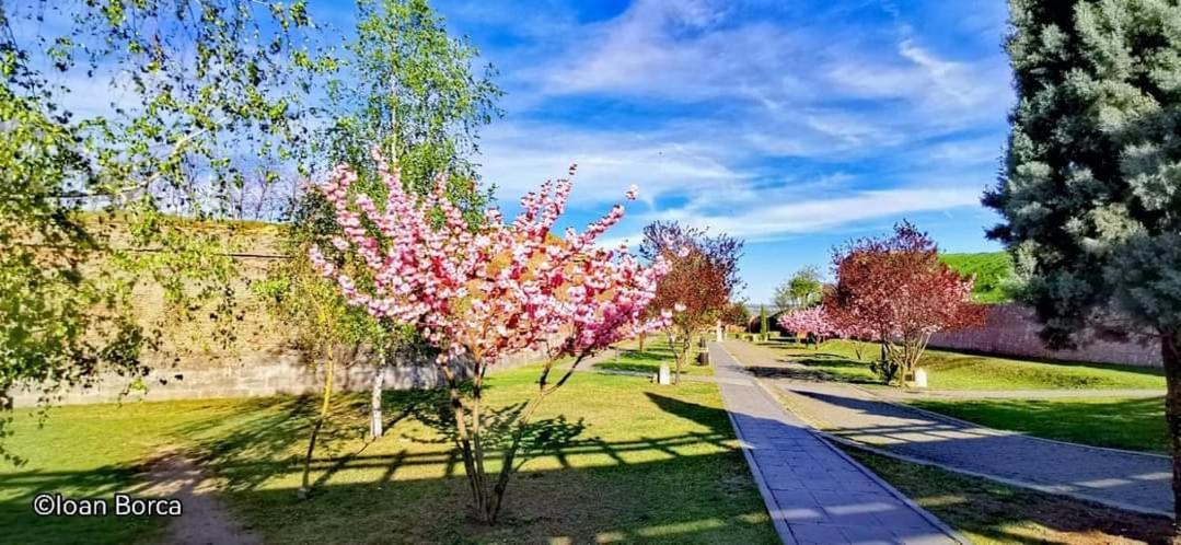 Apartament The View1 Alba Iulia Zewnętrze zdjęcie